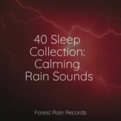 40 Sleep Collection: Calming Rain Sounds