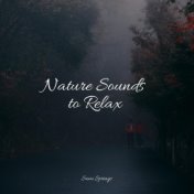 Nature Sounds to Relax