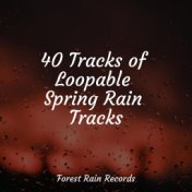 40 Tracks of Loopable Spring Rain Tracks