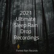 2021 Ultimate Sleep Rain Drop Recordings