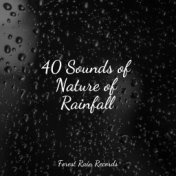 40 Sounds of Nature of Rainfall