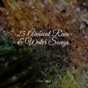 25 Ambient Rain & Water Songs