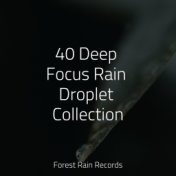 40 Deep Focus Rain Droplet Collection