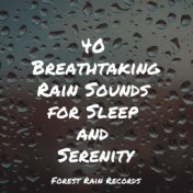 40 Breathtaking Rain Sounds for Sleep and Serenity