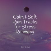 Calm & Soft Rain Tracks for Stress Relieving