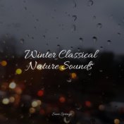 Winter Classical Nature Sounds