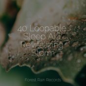 40 Loopable Sleep Aid Revitalizing Storm