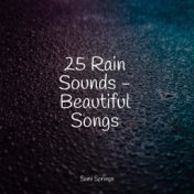 25 Rain Sounds - Beautiful Songs