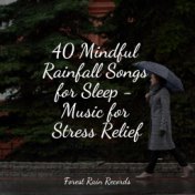 40 Mindful Rainfall Songs for Sleep - Music for Stress Relief