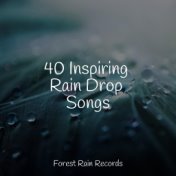 40 Inspiring Rain Drop Songs