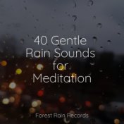 40 Gentle Rain Sounds for Meditation