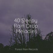 40 Sleepy Rain Drop Melodies