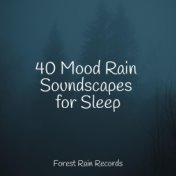 40 Mood Rain Soundscapes for Sleep