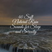 40 Soft Natural Rain Sounds for Sleep and Serenity