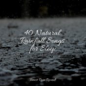 40 Natural Rainfall Songs for Sleep