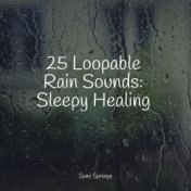 25 Loopable Rain Sounds: Sleepy Healing