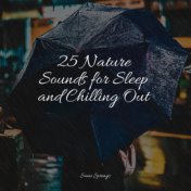 25 Nature Sounds for Sleep and Chilling Out