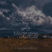 40 Light Soft Sounds of Rain for Spa and Meditation