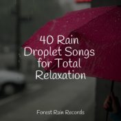 40 Rain Droplet Songs for Total Relaxation