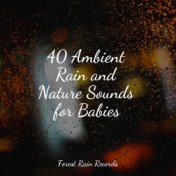 40 Ambient Rain and Nature Sounds for Babies