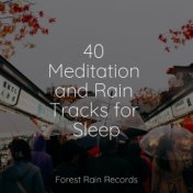 40 Meditation and Rain Tracks for Sleep