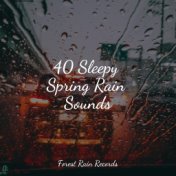 40 Sleepy Spring Rain Sounds