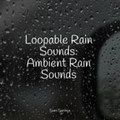 Loopable Rain Sounds: Ambient Rain Sounds