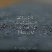 40 Spa Sounds of Rain and Nature