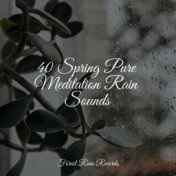 40 Spring Pure Meditation Rain Sounds