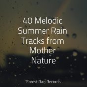 40 Melodic Summer Rain Tracks from Mother Nature