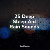 25 Deep Sleep Aid Rain Sounds