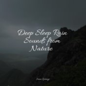 Deep Sleep Rain Sounds from Nature