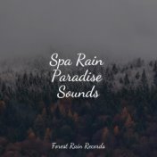 Spa Rain Paradise Sounds