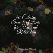 40 Calming Sounds of Rain for Sleep and Relaxation