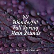 40 Wonderful Fall Spring Rain Sounds