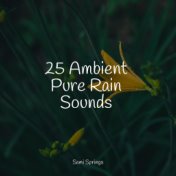 25 Ambient Pure Rain Sounds