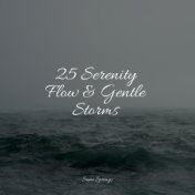 25 Serenity Flow & Gentle Storms