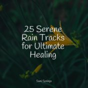 25 Serene Rain Tracks for Ultimate Healing