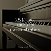 25 Piano Tracks for Concentration