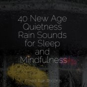 40 New Age Quietness Rain Sounds for Sleep and Mindfulness