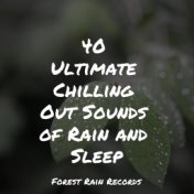 40 Ultimate Chilling Out Sounds of Rain and Sleep