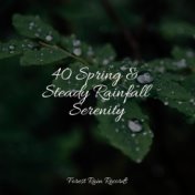 40 Spring & Steady Rainfall Serenity