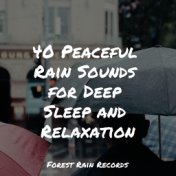 40 Peaceful Rain Sounds for Deep Sleep and Relaxation