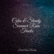 Calm & Steady Summer Rain Tracks