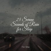 25 Serene Sounds of Rain for Sleep