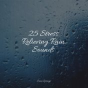 25 Stress Relieving Rain Sounds