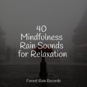 40 Mindfulness Rain Sounds for Relaxation