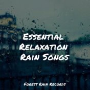 Essential Relaxation Rain Songs