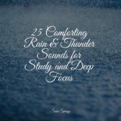 25 Comforting Rain & Thunder Sounds for Study and Deep Focus