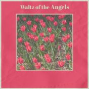 Waltz of the Angels